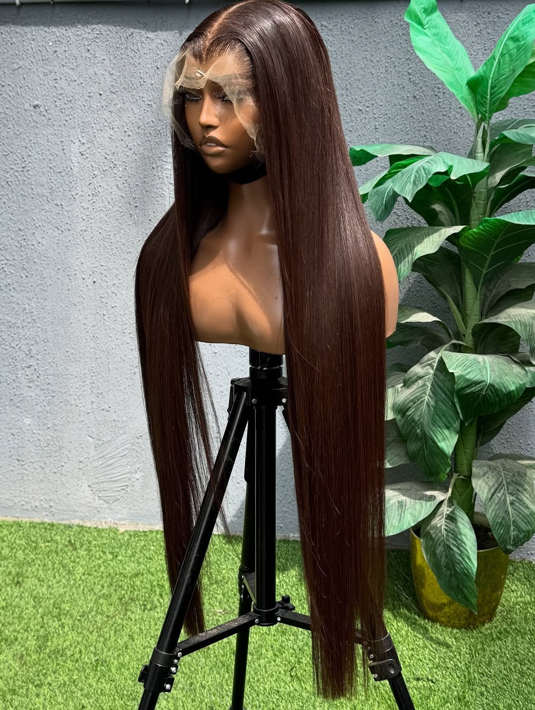 VIETNAMESE BONE STRAIGHTS